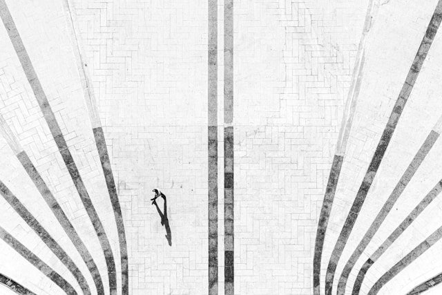 Bird&rsquo;s Eye View in Project Management: Why It&rsquo;s Essential for Success
